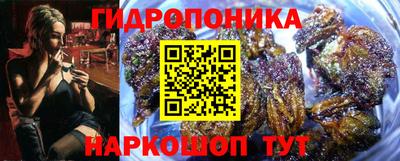 mdpv Кандалакша