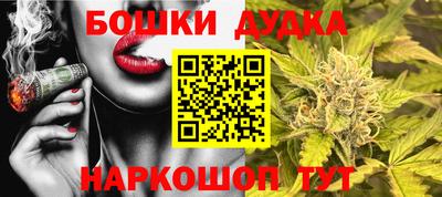 mdpv Кандалакша
