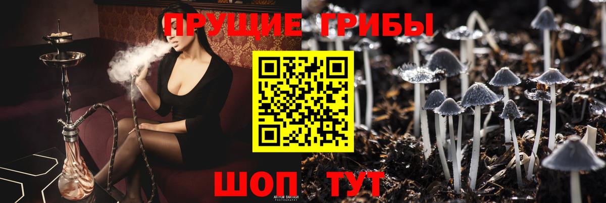 Псилоцибиновые грибы GOLDEN TEACHER  Вход с VPN  Краснокаменск  Галлюциногенные грибы мухоморы 